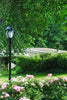 Secret Garden