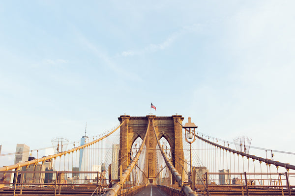 NEW YORK COLLECTION