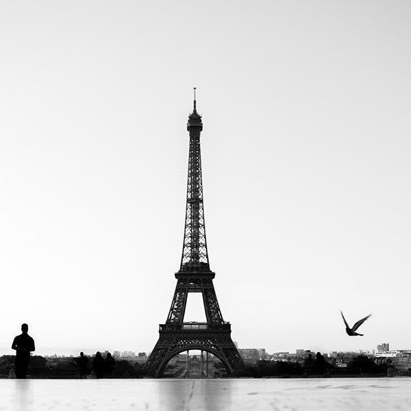 Eiffel for You